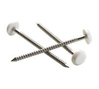 Pointe Plastop Tête Ronde inox A4 NORFIX annelée Ivoire Clair