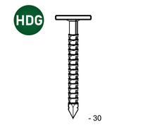POINTE TEL ANNELÉE HDG 3,1 X 30 MM - ASLAFIX - TL310306