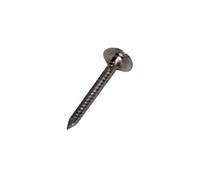 Pointe TEL Annelée Inox 17% 30×3.0mm-Seau 5kg - - 777170