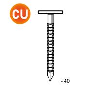 Pointe tête extra large annelées 2,8/3,1X40 - 2,5KG - ASLAFIX - TL280407