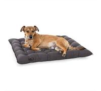 Pointer Urban Coussin pour chien Orthopédique, Doux, Extérieur, Stable, Résistant aux griffures, Facile à nettoyer, Passe au sèche-linge, Lavable à 95 °C - Qualité premium Taille + Couleur au choix