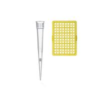 Pointes à filtre, en rack, TipBox, 2-20 µl, BIO-CERT, PP/filtre PE, IVD, incolores, exempts d'endotoxines, d'ADN, de RNase