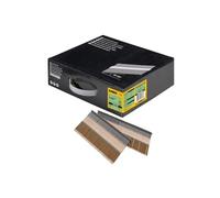 DeWALT Clous à anneau DNPT31R90Z – 3,1 x 90 mm – 2 200 pièces