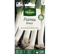 Poireau Armor