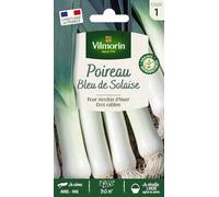 Poireau bleu de Solaise