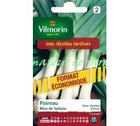 Poireau Bleu de Solaise - Grand Modèle