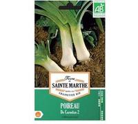 Poireau de carentan bio - Graines à semer Vert G