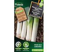Poireau d'hiver Armor - Protecta Graines paysannes - Env. 3 gr | 249-Protecta