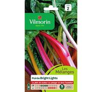 Sachet graines Poirée Bright lights - Beta vulgaris