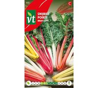 Poirée Bright Lights Graines - Poirée à cardes multicolores