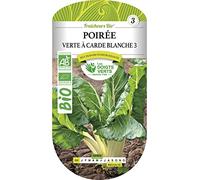 Graines poirée verte à carde blanche BIO Les Doigts Verts