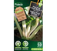 Poirée Verte à Carde Blanche 3 - Protecta Graines paysannes - Env. 4 gr | 254-Protecta