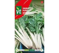 Poirée Verte à carde blanche Graines