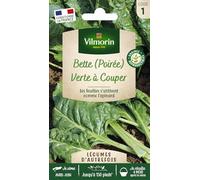 Poirée Verte à Couper - Légumes d'Autrefois