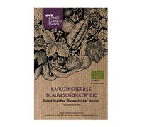 Pois capucine 'Blauwschokker' (Pisum sativum) bio env. 75 semences