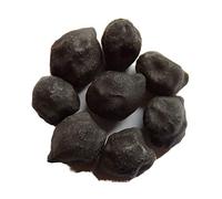 Pois Chiche Noir - Cicer Arietinum - SEM01