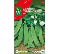 Pois de senteur Pods Norli Graines - Env. 50 gr | VT_197