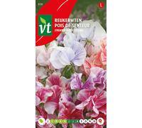 Pois de senteur Streamer mélange de graines - Env. 3 gr | VT_838