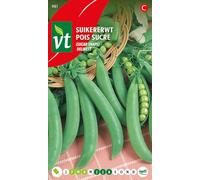 Pois Delikett Graines - Des cosses épaisses et succulentes