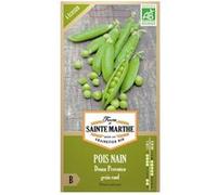 Pois nain bio Douce provence - Graines à semer Vert G