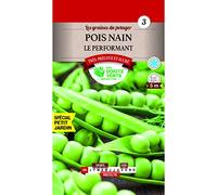 Pois Nain le Performant