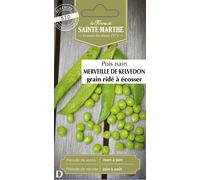 Pois nain bio Merveille de Kelvedon - Graines à semer