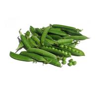 POIS NAIN ridé ""Douce Provence"" - Pisum sativum - 100 grammes