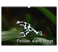 Poison dart frogs / UK-Version / Birthday Calendar (Wall Calendar 2026 DIN A3 landscape), CALVENDO 12 Month Wall Calendar: Poison dart frogs - the jewels of the rain forest