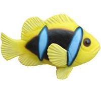 Poisson Anémone Océan Poissons Exotiques Présentoirs Aquarium Zoo Statues