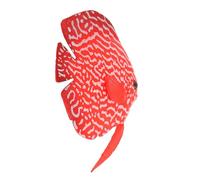 Poisson Artificiel Lumineux pour Aquarium, Silicone Réaliste Décoratif | Effet Vivant, Matière Silicone Sûre pour L’eau, pour Betta et Bacs Ornements