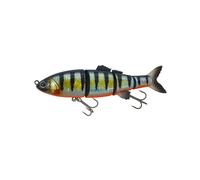 Poisson Nageur Adam's ADX Joint Minnow SS 120-12cm (Perche)