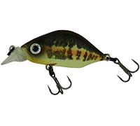 Poisson Nageur Adams Hump Minnow 33s