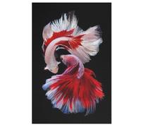 Poisson - Puzzle en Bois Adulte 1000 P - Challenge Puzzles - Adultes Et EnfFourmis À Partir De 12 Ans 78×53cm