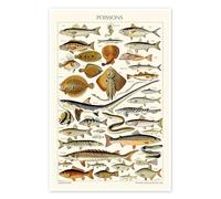 Poissons, 1923 Poster de Adolphe Millot 60 x 90 cm Marron Tableaux Décoration murale