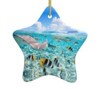 Poissons colorés double face en céramique - Décoration festive à suspendre avec ficelle dorée