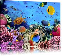 Poissons colorés sur récif du corail Format: toile 100x70auf, XXL énormes Photos complètement encadrés par la civière, l'impression de l'image Art mural avec cadre, moins cher que peintures à l'huile et de l'image, aucune affiche ou poster