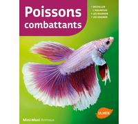 Poissons combattants - Renaud Lacroix - Eugen Ulmer Eds - broché - Guide