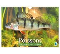 Poissons : d'étangs et des rivières (Calendrier mural 2027 DIN A4 vertical), CALVENDO calendrier mensuel: Prises de vues sous-marines grandioses de poissons qui évoluent dans nos eaux