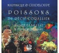 Poissons Du Récif Corallien