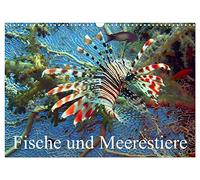 Poissons et animaux marins, Version française (Calendrier mural 2026 DIN A3 portrait), Calendrier CALVENDO mensuel