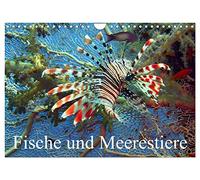 Poissons et animaux marins, Version française (Calendrier mural 2026 DIN A4 portrait), Calendrier CALVENDO mensuel