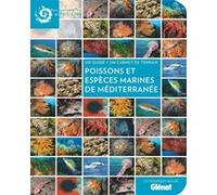 Poissons et espèces marines de Méditerranée Collectif (Auteur)
