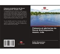 Poissons Et Pêcheries Du Fleuve Brahmapoutre, Assam, Inde