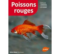 Poissons rouges (NE)