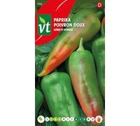 Poivron doux Red Bulls Horn Graines - Beaux fruits pointus d’environ 20 cm de longueur