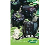 Poivron Doux Sweet Chocolate