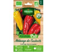 Poivron mélange de couleurs bio Vilmorin