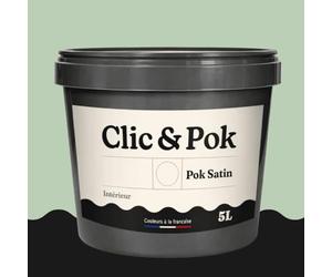 POK SATIN Peinture Mur Plafond - Intérieure Satinée, Lessivable, Multisupport - Vert Bord de Mer 50m² - 5L