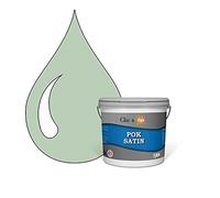 POK SATIN : Peinture Satin Lessivable Vert Bord de Mer 25m² - 2,5L
