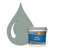POK SATIN : Peinture Satin Lessivable Vert Grisé 25m² - 2,5L